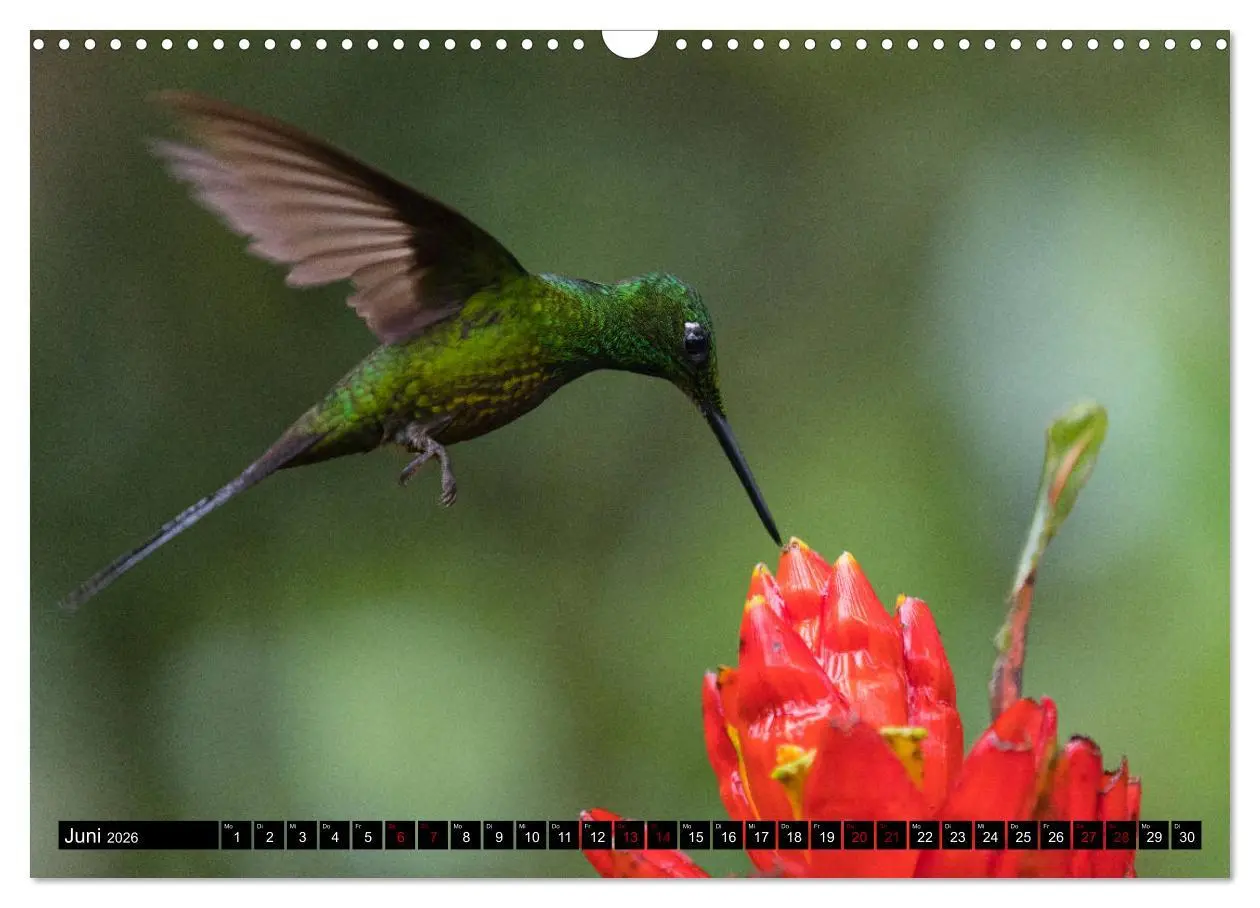 Bild: 9783457848937 | Traumwelt Ecuador (Wandkalender 2026 DIN A3 quer), CALVENDO...