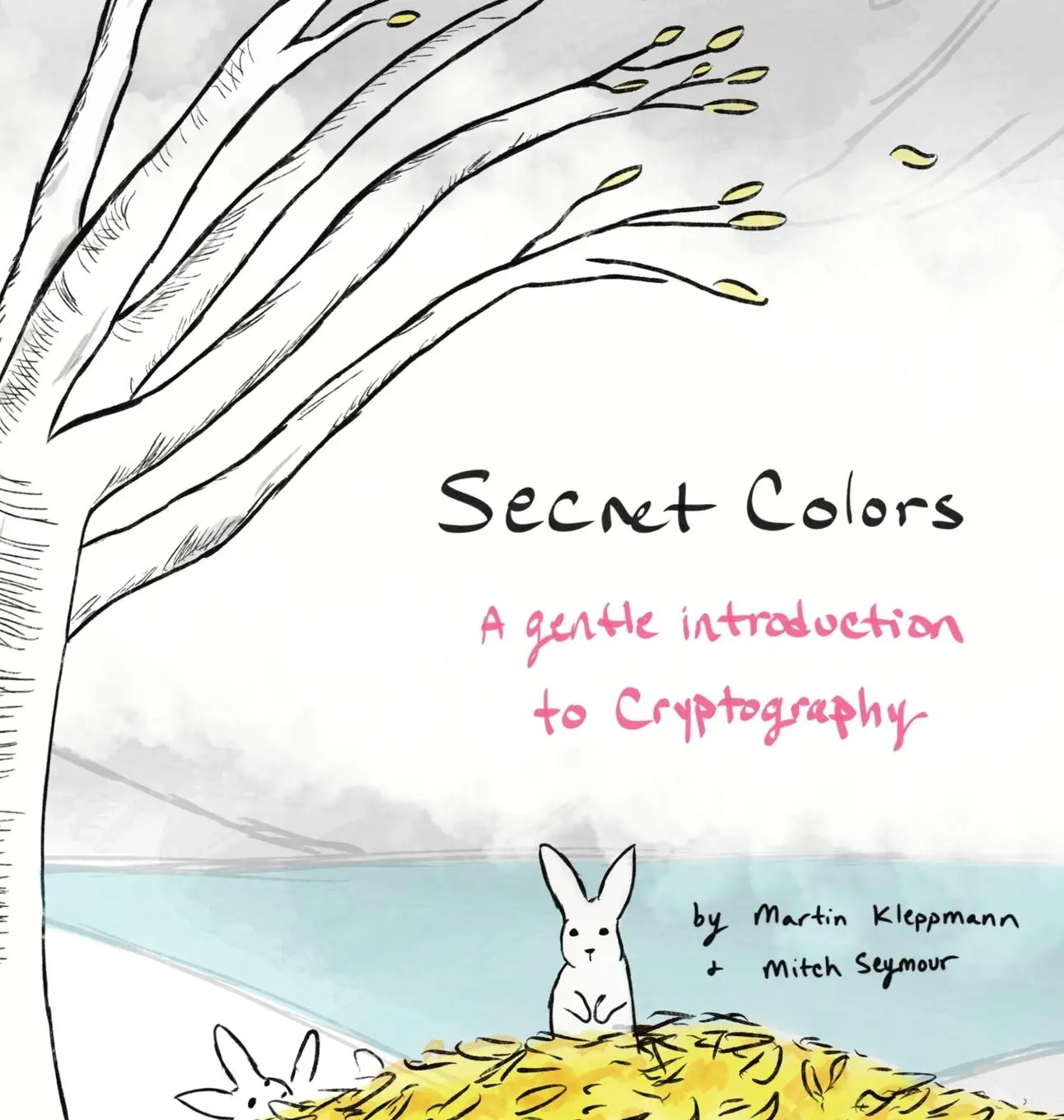 Cover: 9781737419037 | Secret Colors | Martin Kleppmann | Buch | Englisch | 2022