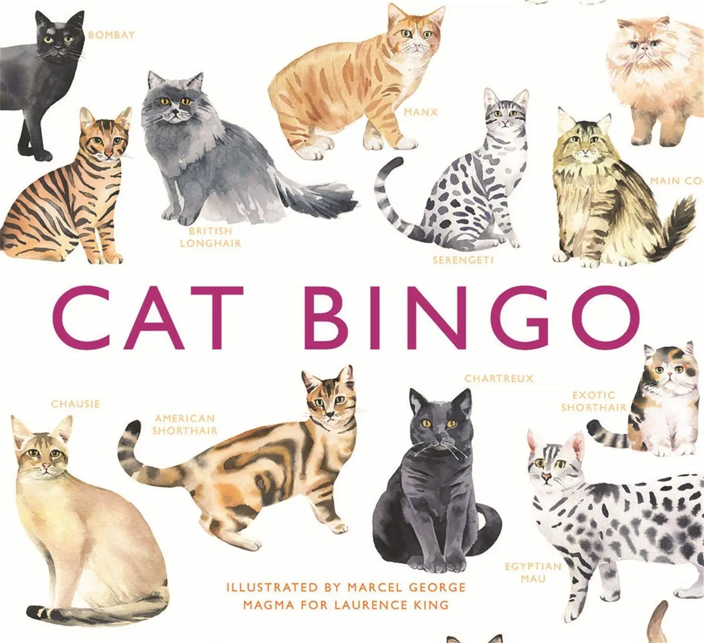 Cat Bingo - Neuware