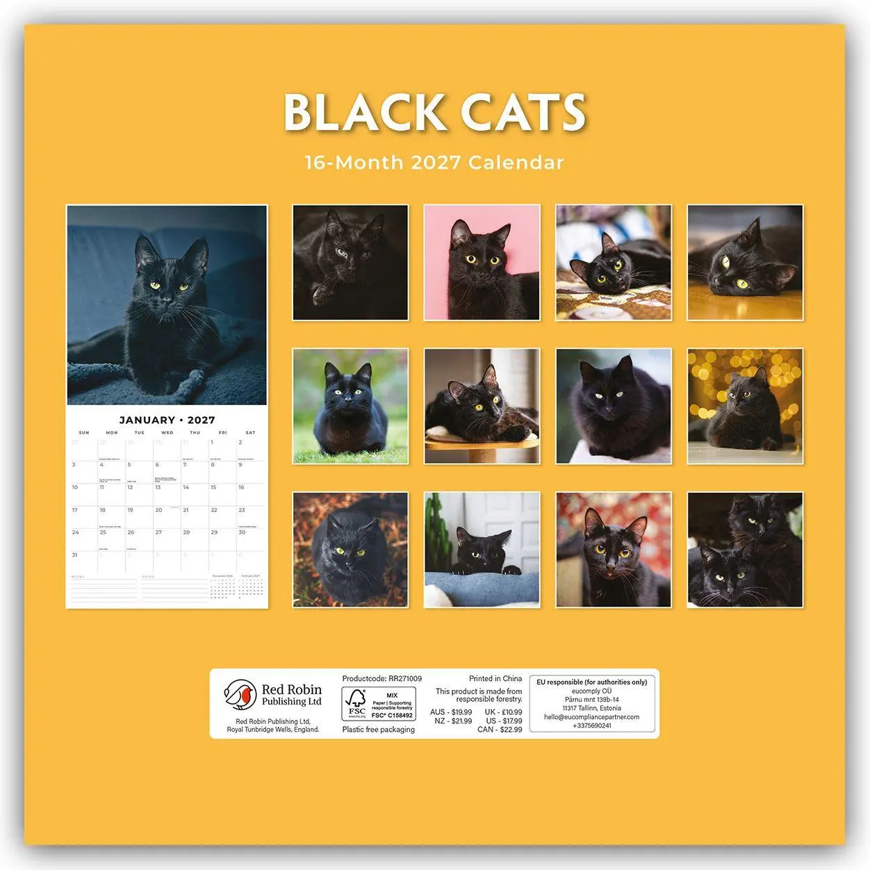 Rückseite: 9781804429037 | Black Cats - Schwarze Katzen 2027 - 16-Monatskalender | Robin Red