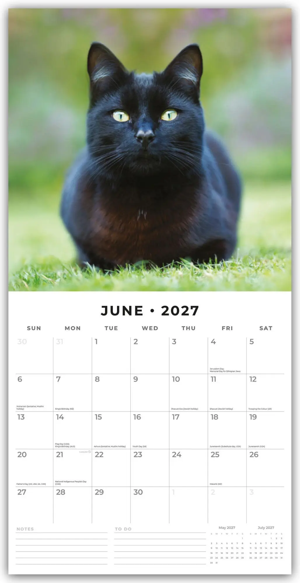 Bild: 9781804429037 | Black Cats - Schwarze Katzen 2027 - 16-Monatskalender | Robin Red