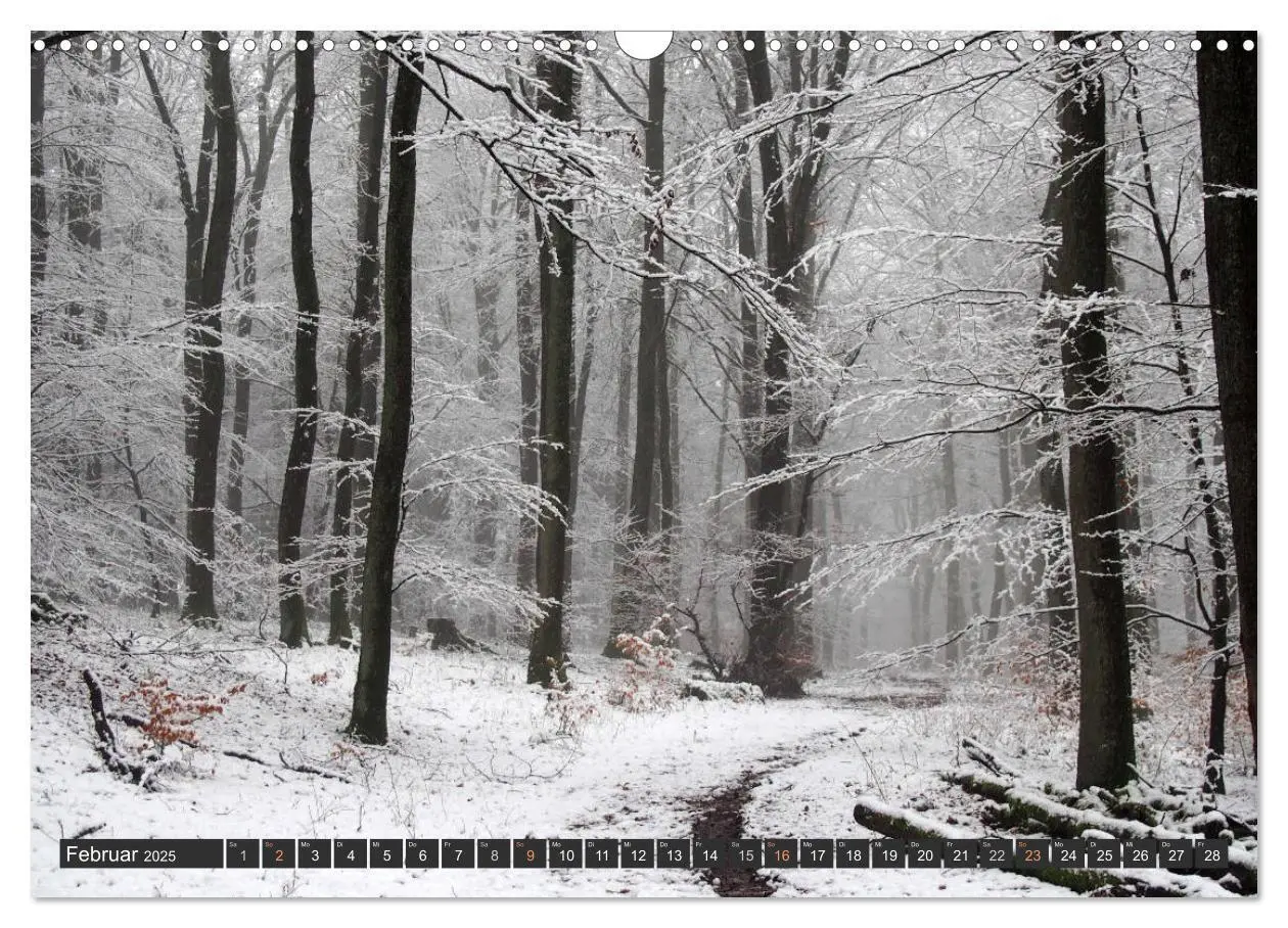 Bild: 9783435579037 | Unterwegs im Hunsrück (Wandkalender 2025 DIN A3 quer), CALVENDO...