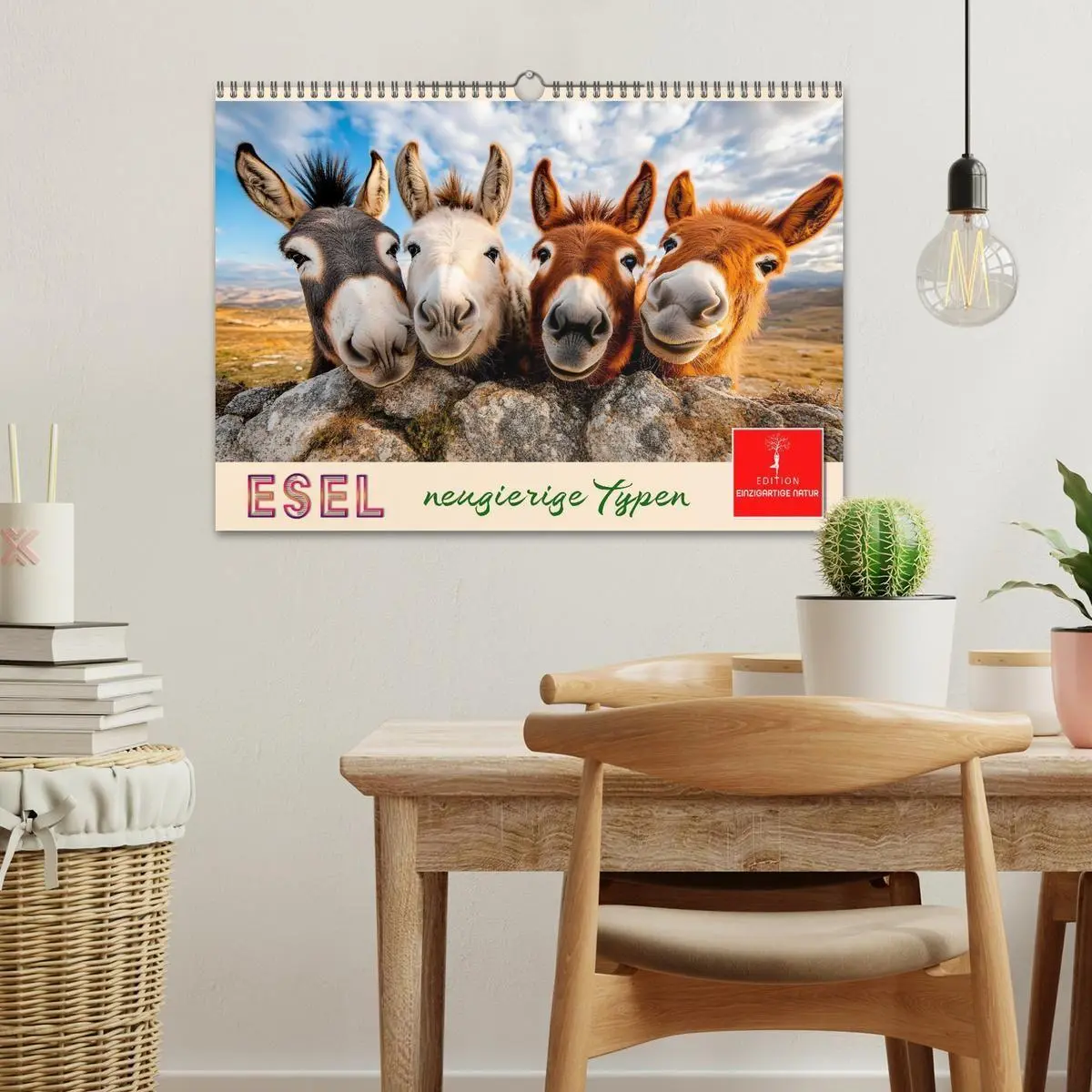 Bild: 9783516759037 | Esel - neugierige Typen (Wandkalender 2027 DIN A3 quer), CALVENDO...