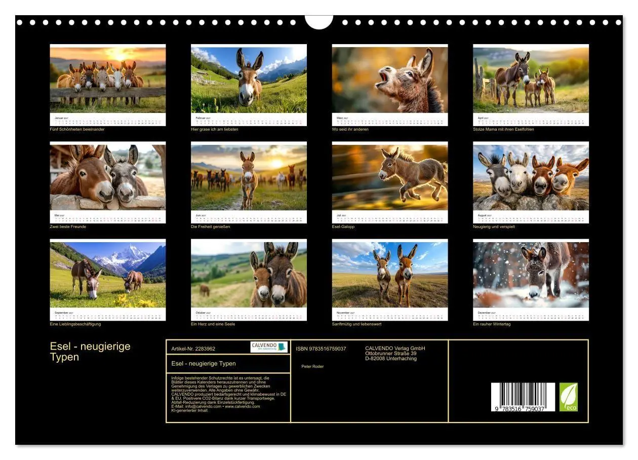Bild: 9783516759037 | Esel - neugierige Typen (Wandkalender 2027 DIN A3 quer), CALVENDO...