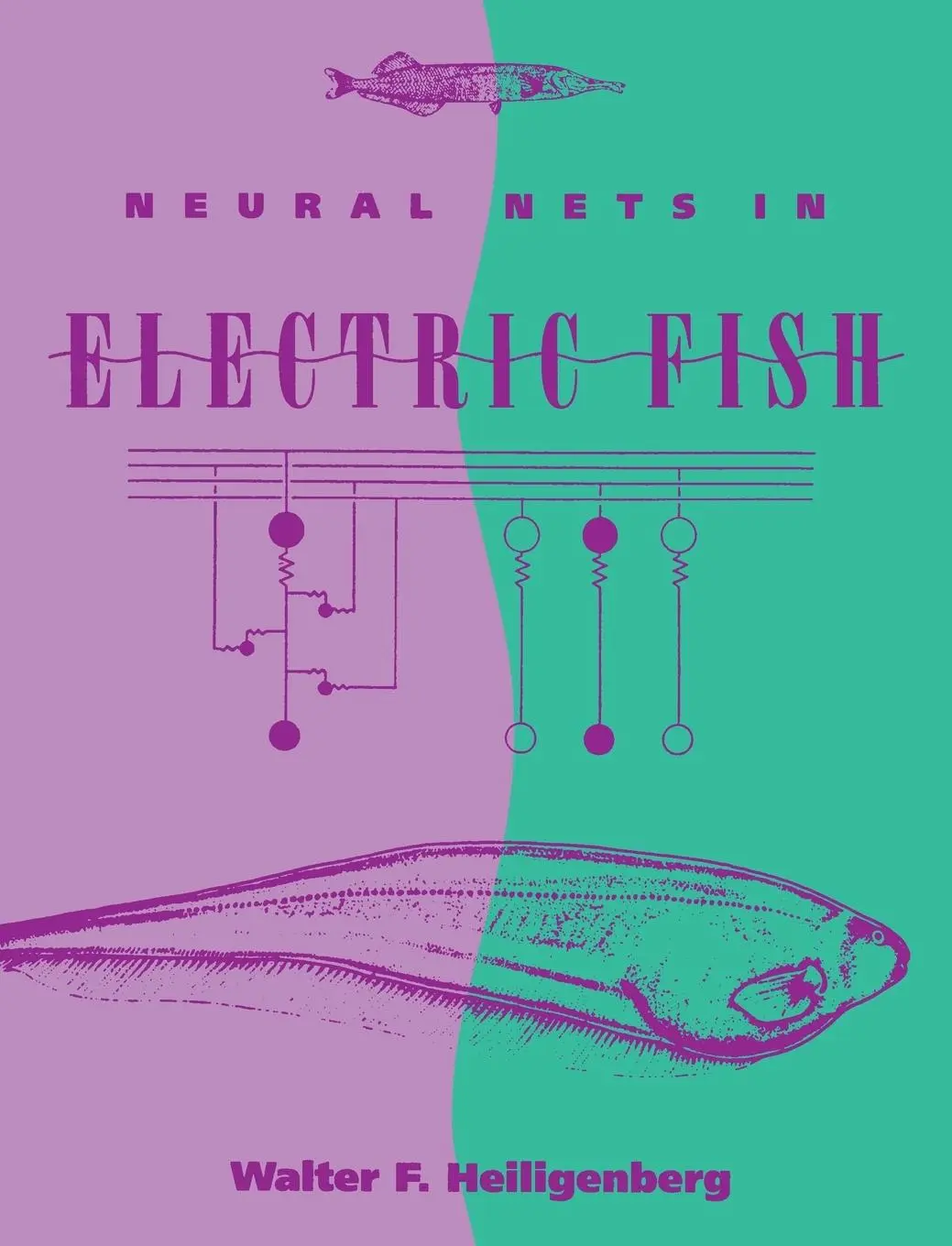Cover: 9780262519137 | Neural Nets in Electric Fish | Walter Heiligenberg | Taschenbuch