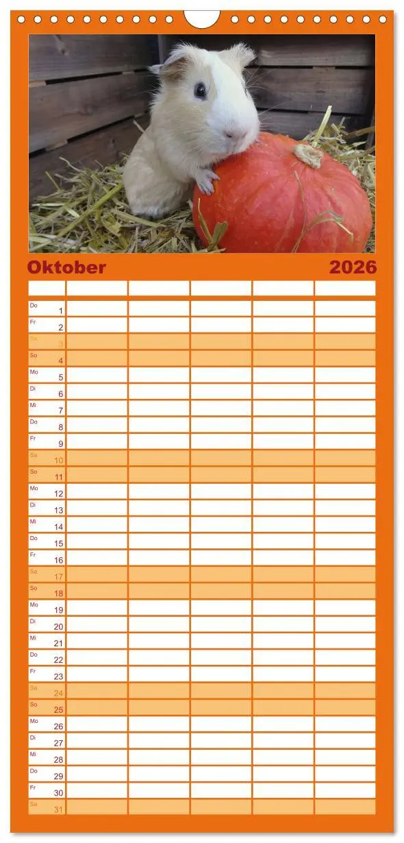 Bild: 9783516509137 | Familienplaner 2026 - Familienplaner MEERSCHWEINCHEN verzaubern uns...