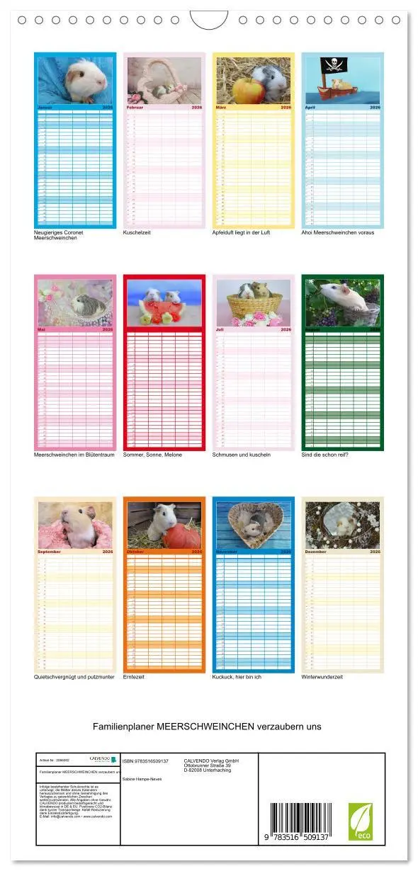 Bild: 9783516509137 | Familienplaner 2026 - Familienplaner MEERSCHWEINCHEN verzaubern uns...