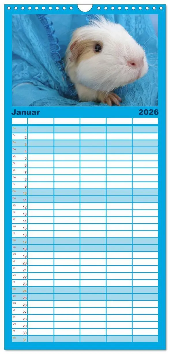 Bild: 9783516509137 | Familienplaner 2026 - Familienplaner MEERSCHWEINCHEN verzaubern uns...