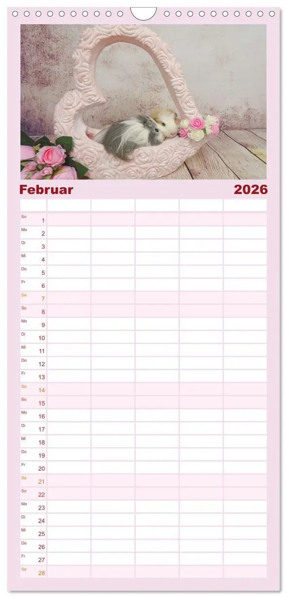 Bild: 9783516509137 | Familienplaner 2026 - Familienplaner MEERSCHWEINCHEN verzaubern uns...