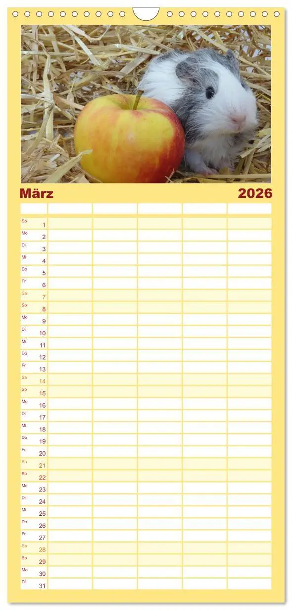 Bild: 9783516509137 | Familienplaner 2026 - Familienplaner MEERSCHWEINCHEN verzaubern uns...