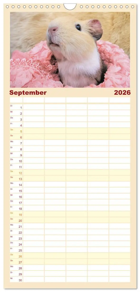 Bild: 9783516509137 | Familienplaner 2026 - Familienplaner MEERSCHWEINCHEN verzaubern uns...