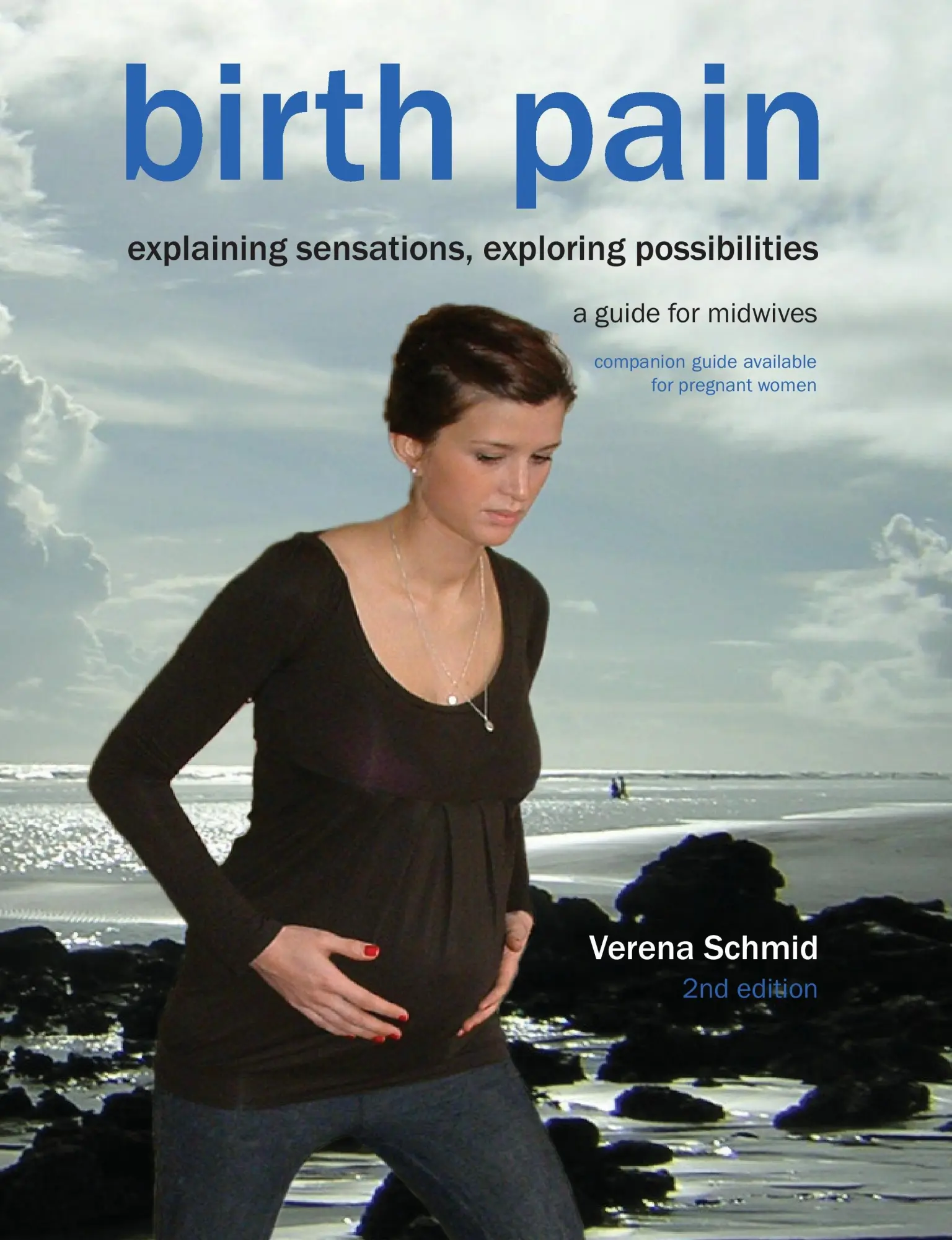 Cover: 9781906619237 | Birth Pain | Explaining Sensations, Exploring Possibilities (2nd Ed)