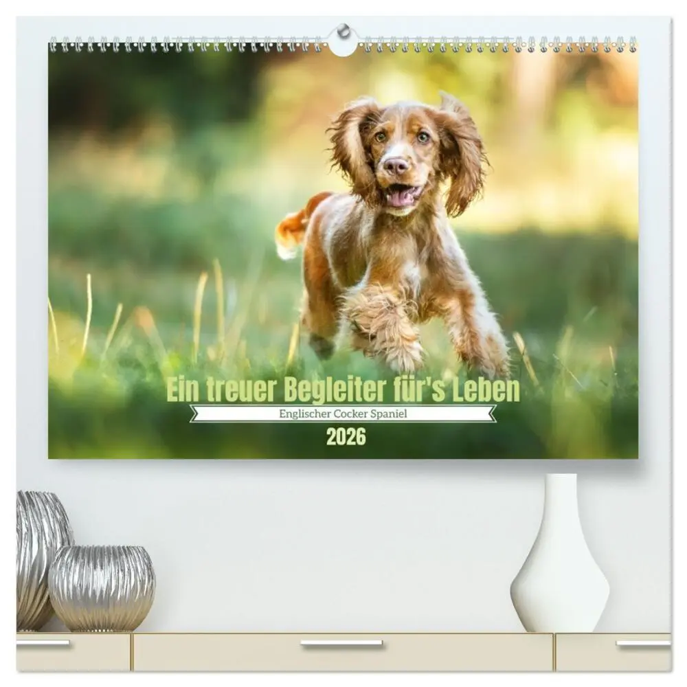 Cover: 9783457579237 | Englischer Cocker Spaniel (hochwertiger Premium Wandkalender 2026...