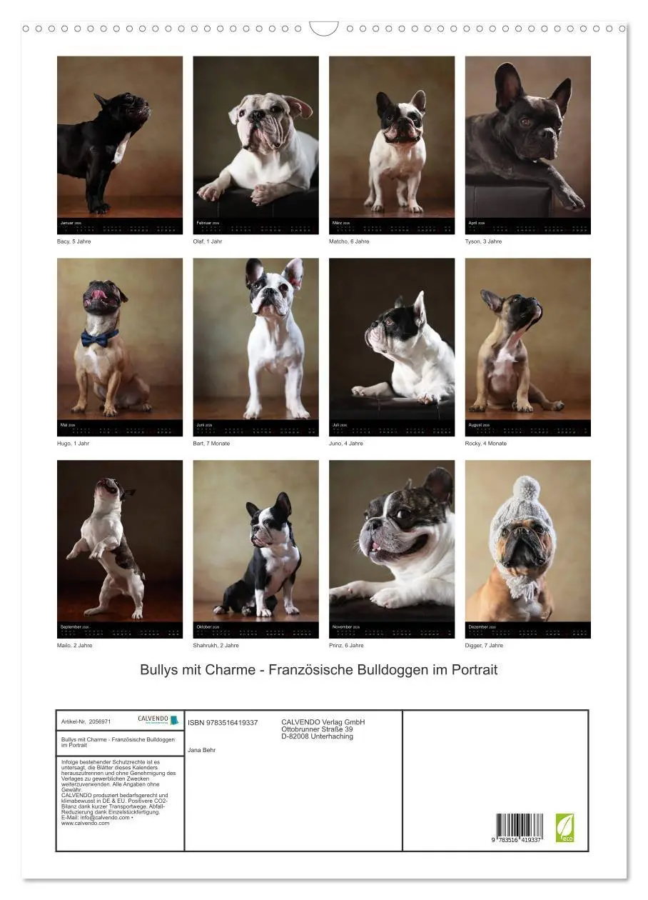 Bild: 9783516419337 | Bullys mit Charme - Französische Bulldoggen im Portrait...