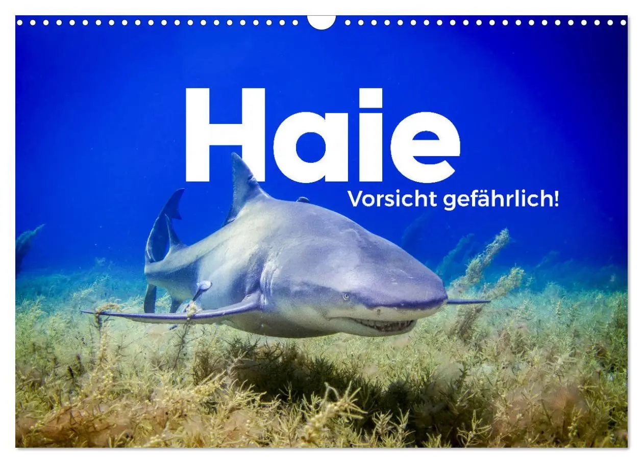 Cover: 9783457539637 | Haie - Vorsicht gefährlich! (Wandkalender 2026 DIN A3 quer),...