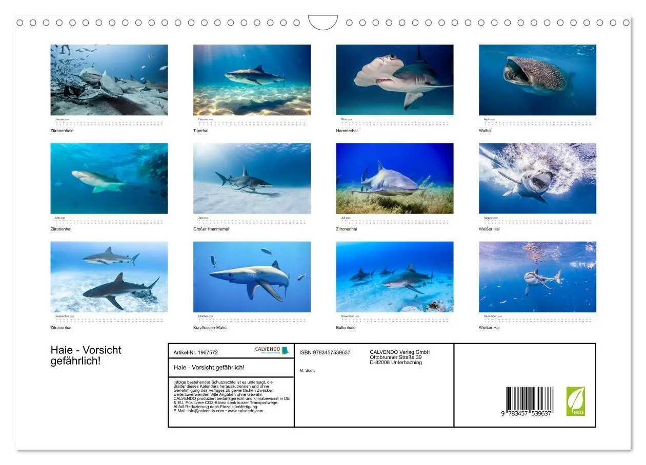 Bild: 9783457539637 | Haie - Vorsicht gefährlich! (Wandkalender 2026 DIN A3 quer),...