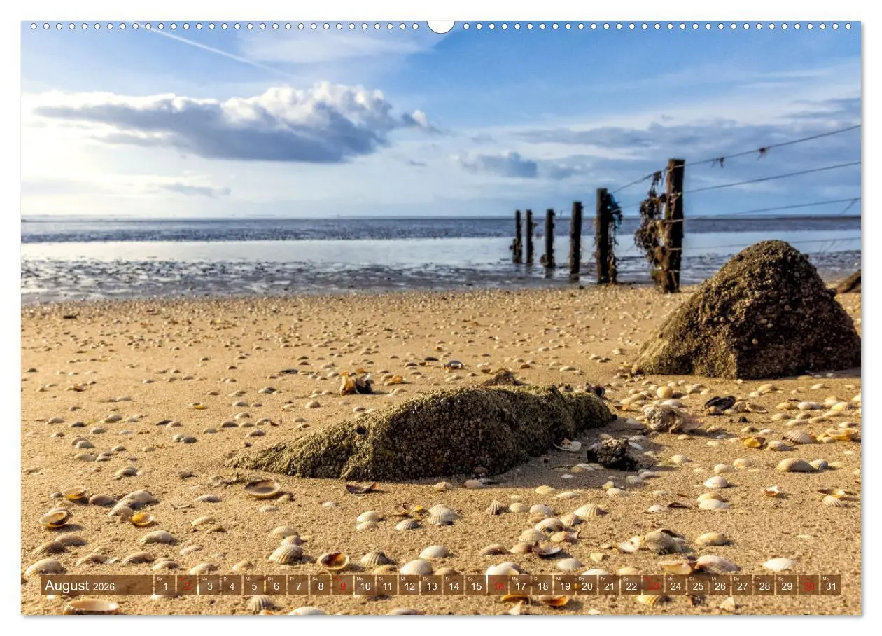 Bild: 9783457609637 | Pellworm - Das Inselparadies (Wandkalender 2026 DIN A2 quer),...