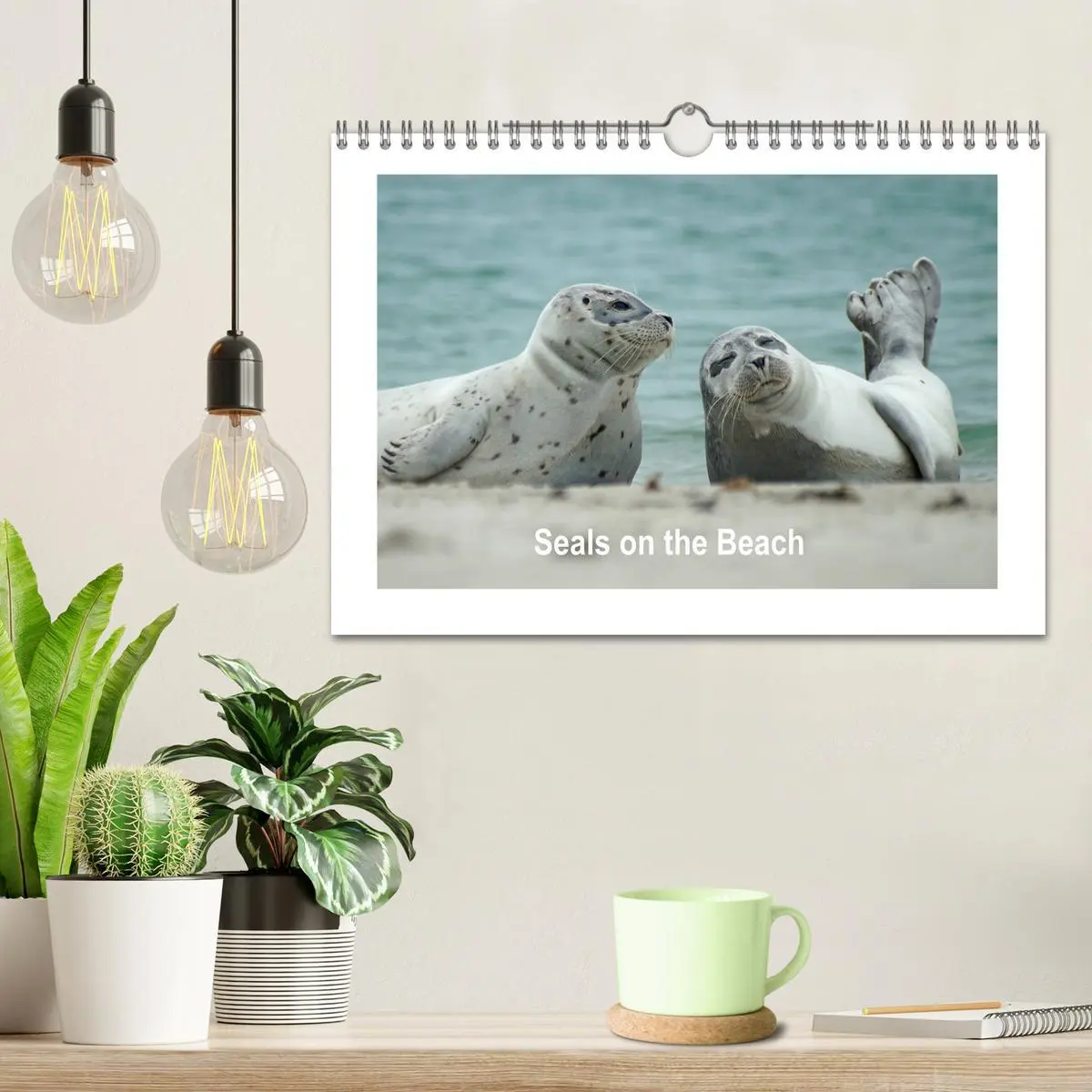 Bild: 9783516559637 | Seals on the Beach (Wall Calendar 2026 DIN A4 landscape), CALVENDO...