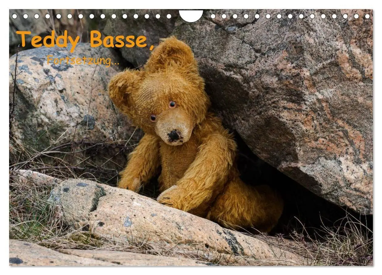 Cover: 9783594089637 | Teddy Basse, Fortsetzung... (Wandkalender 2027 DIN A4 quer),...