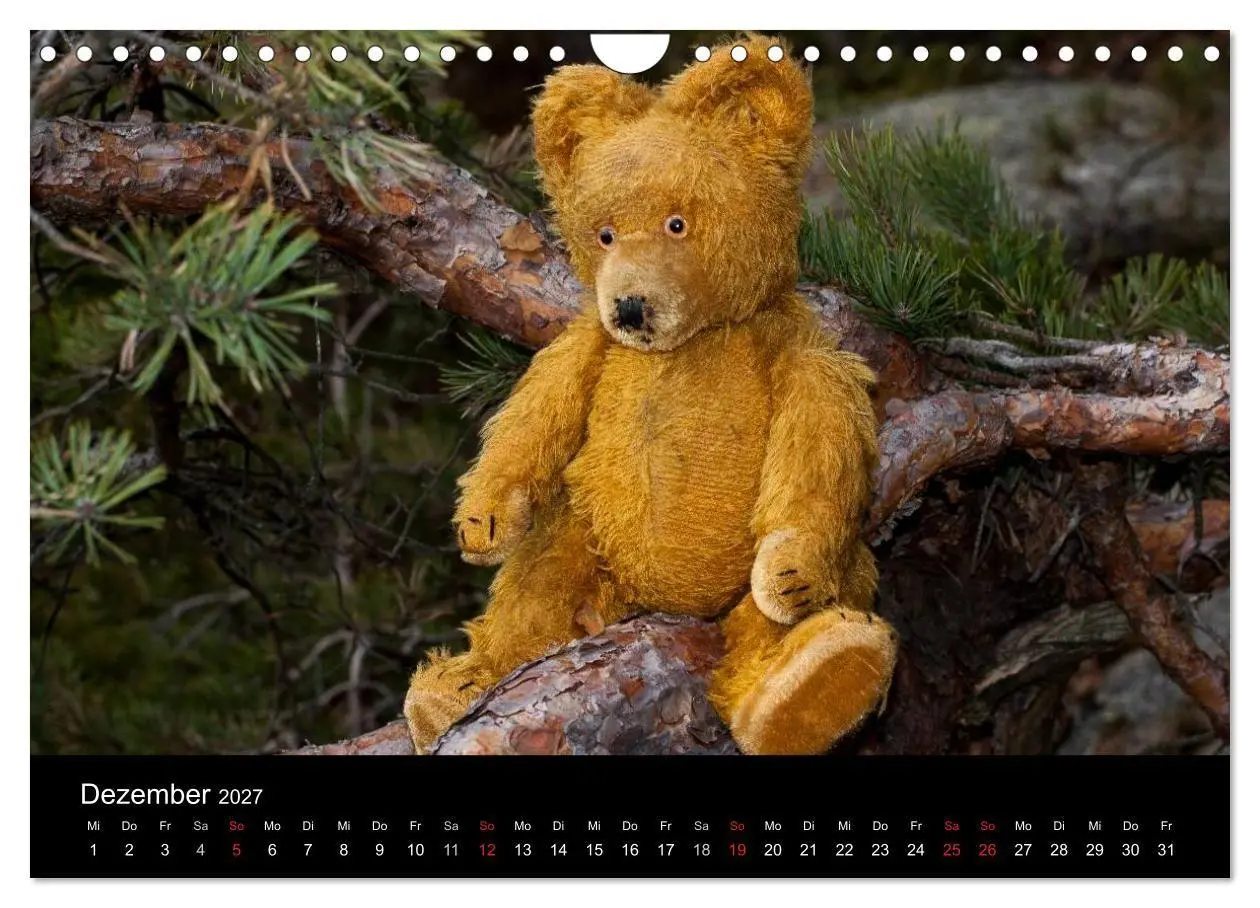 Bild: 9783594089637 | Teddy Basse, Fortsetzung... (Wandkalender 2027 DIN A4 quer),...