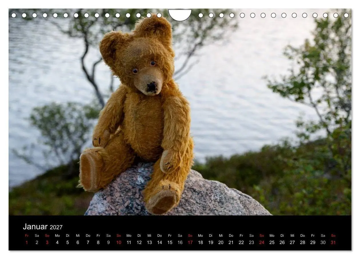 Bild: 9783594089637 | Teddy Basse, Fortsetzung... (Wandkalender 2027 DIN A4 quer),...