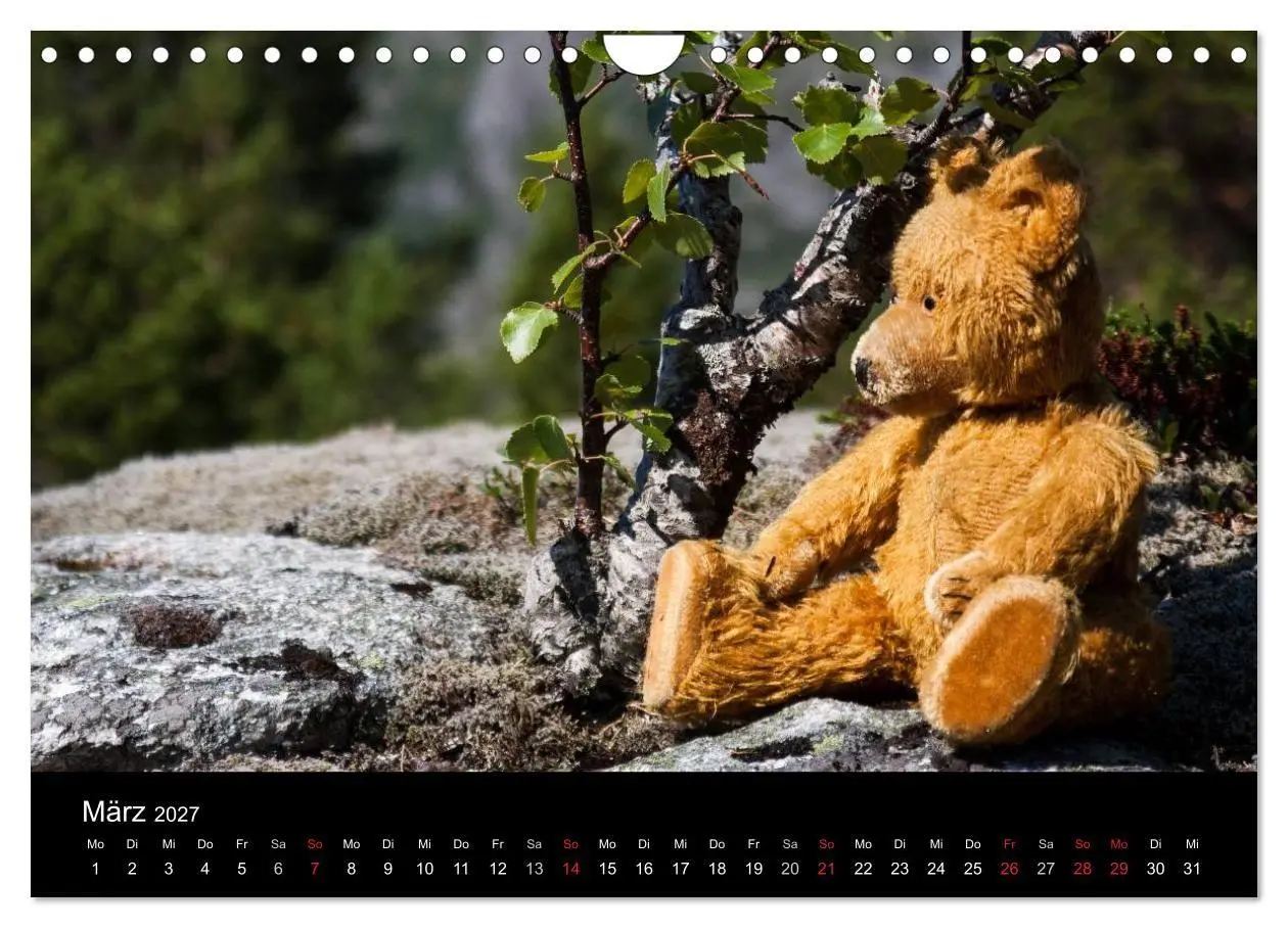 Bild: 9783594089637 | Teddy Basse, Fortsetzung... (Wandkalender 2027 DIN A4 quer),...