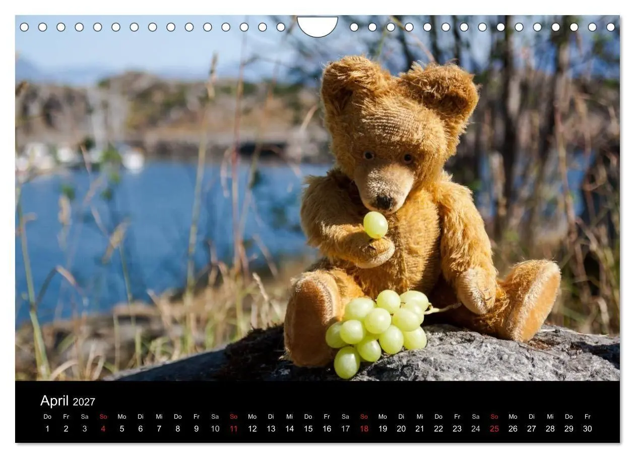 Bild: 9783594089637 | Teddy Basse, Fortsetzung... (Wandkalender 2027 DIN A4 quer),...