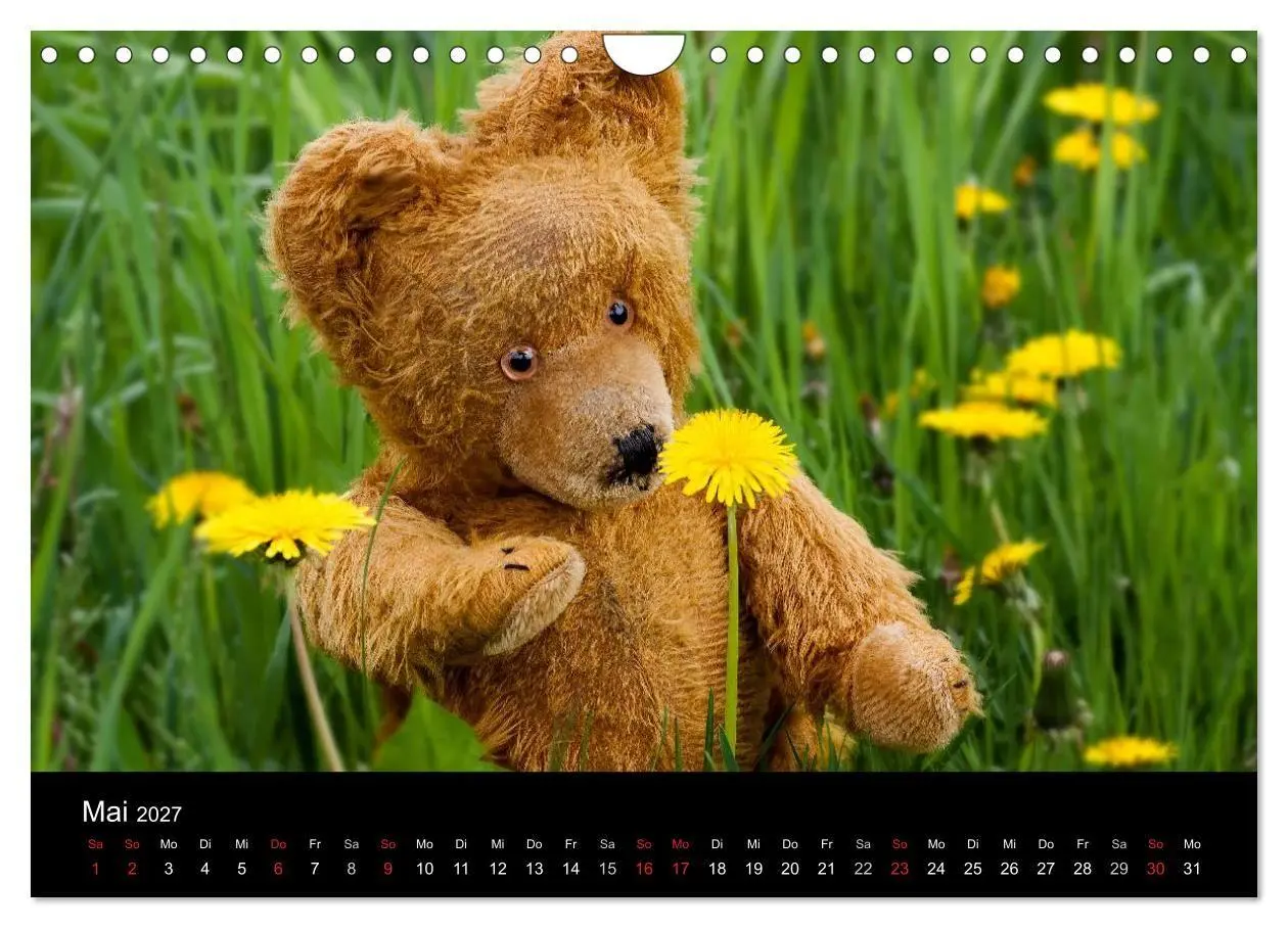 Bild: 9783594089637 | Teddy Basse, Fortsetzung... (Wandkalender 2027 DIN A4 quer),...