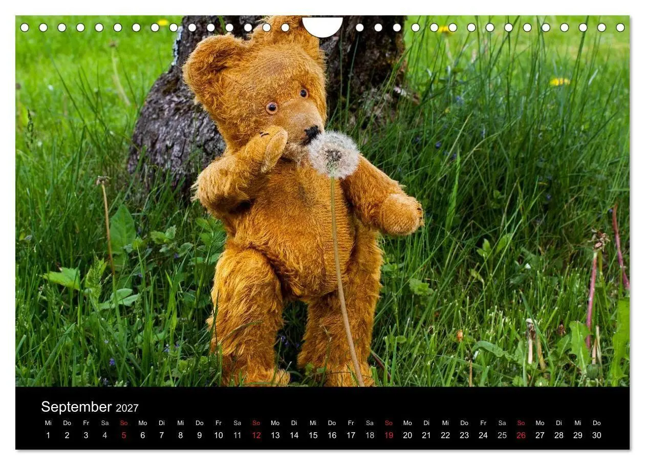 Bild: 9783594089637 | Teddy Basse, Fortsetzung... (Wandkalender 2027 DIN A4 quer),...