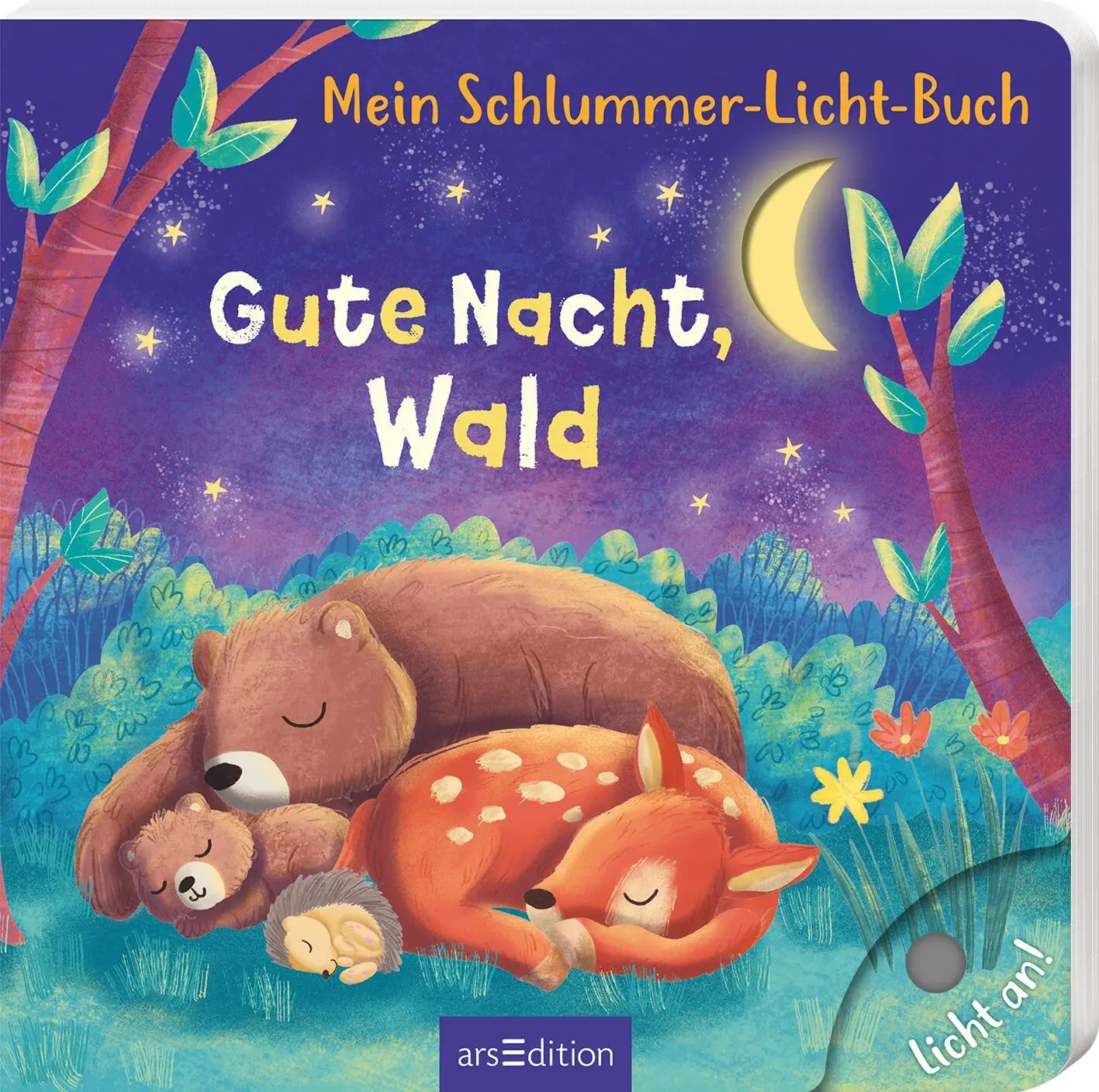 Cover: 9783845859637 | Mein Schlummer-Licht-Buch: Gute Nacht, Wald | mit LED-Lichtern | Höck