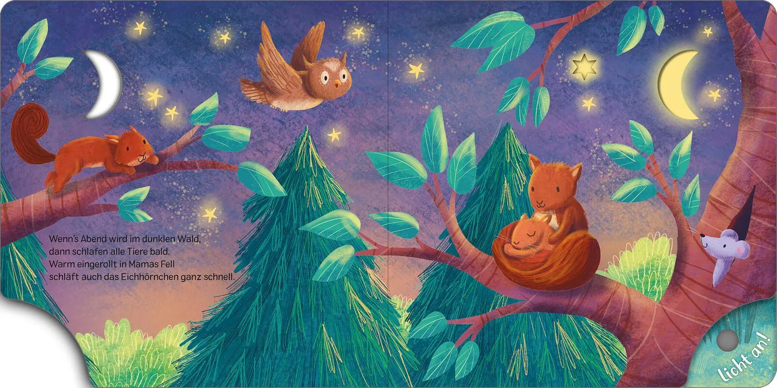 Bild: 9783845859637 | Mein Schlummer-Licht-Buch: Gute Nacht, Wald | mit LED-Lichtern | Höck