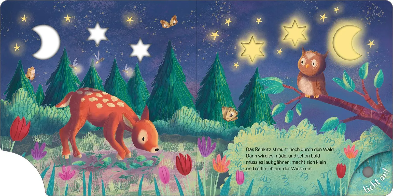Bild: 9783845859637 | Mein Schlummer-Licht-Buch: Gute Nacht, Wald | mit LED-Lichtern | Höck