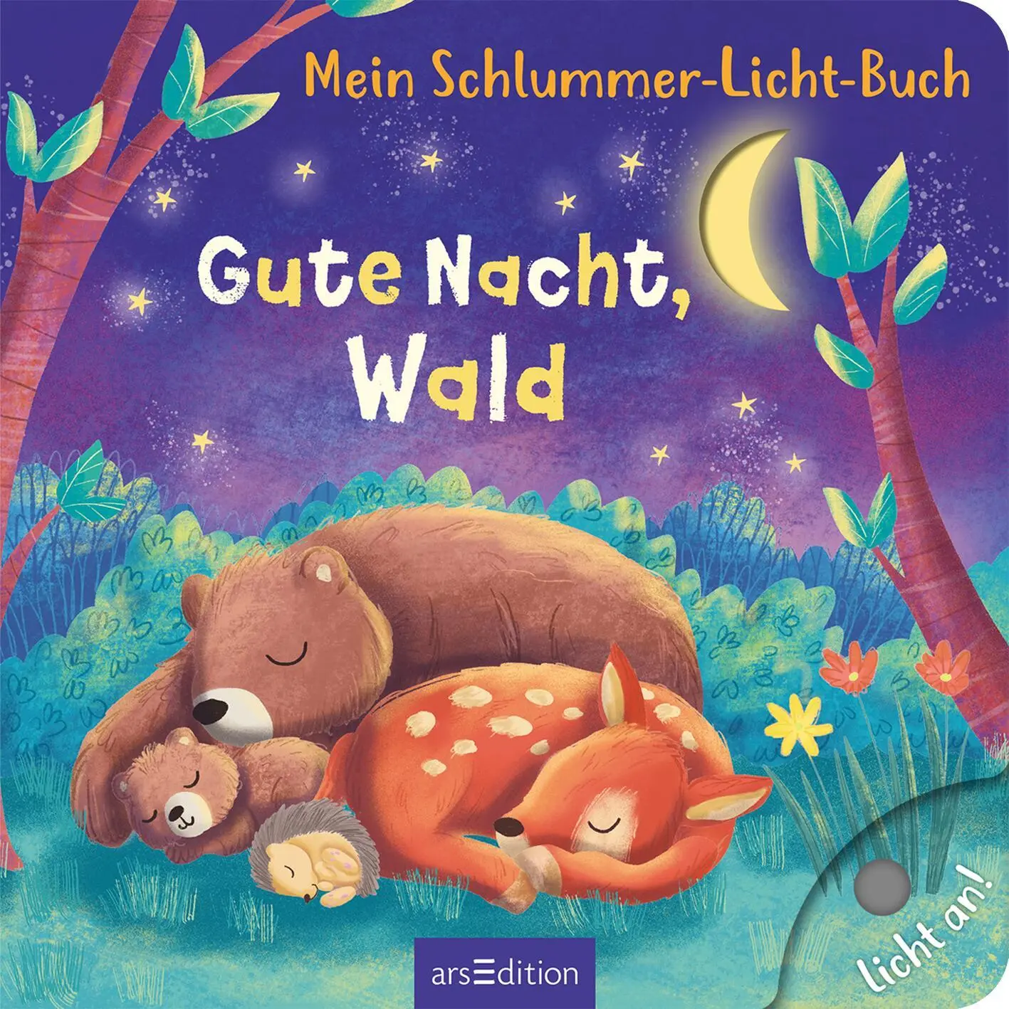 Bild: 9783845859637 | Mein Schlummer-Licht-Buch: Gute Nacht, Wald | mit LED-Lichtern | Höck