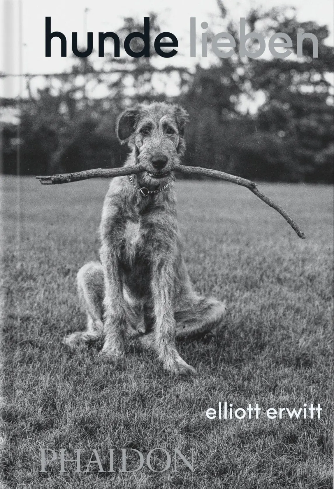 Cover: 9781838669737 | Hunde lieben | Buch | 512 S. | Deutsch | 2025 | Phaidon Verlag GmbH