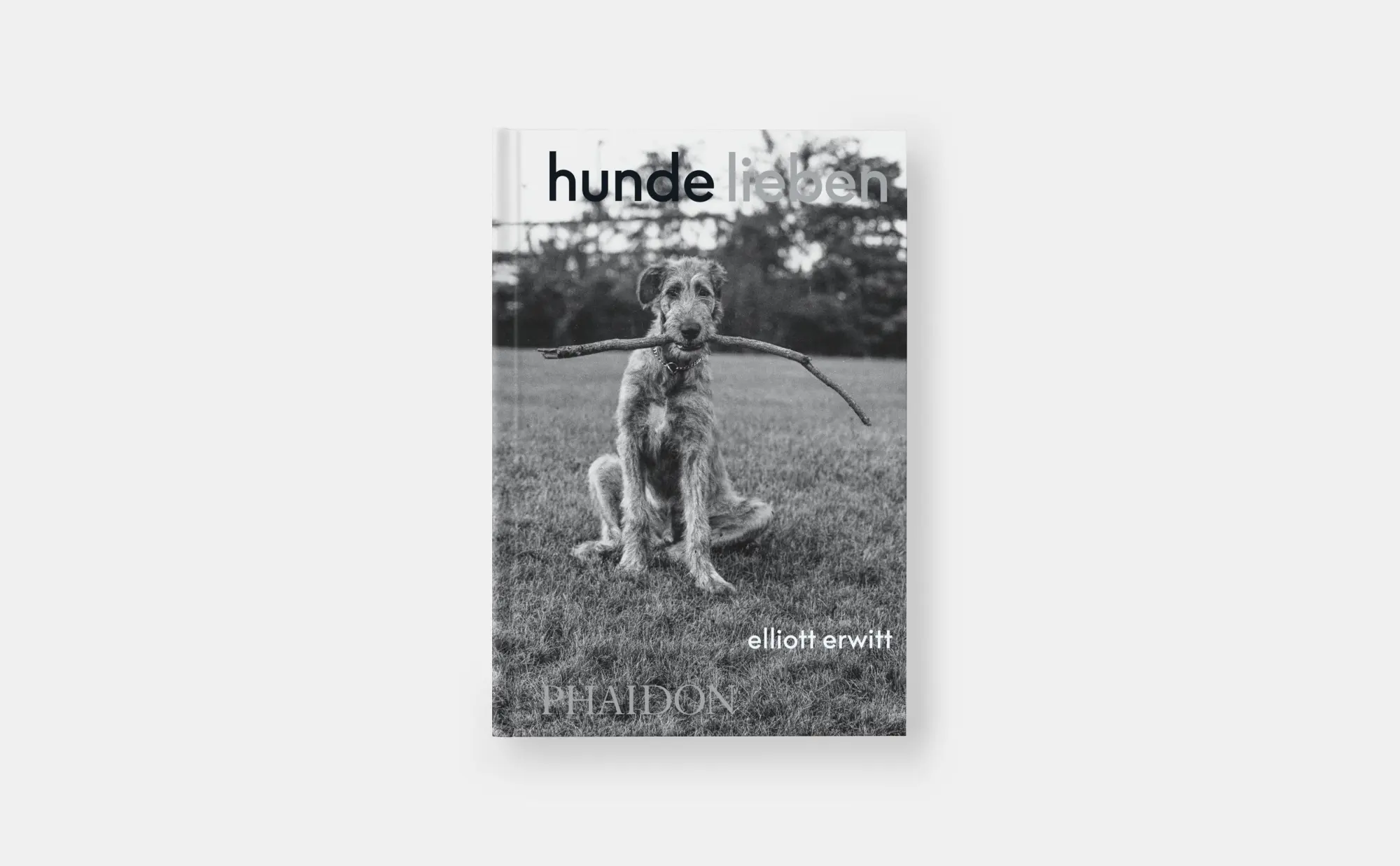 Bild: 9781838669737 | Hunde lieben | Buch | 512 S. | Deutsch | 2025 | Phaidon Verlag GmbH