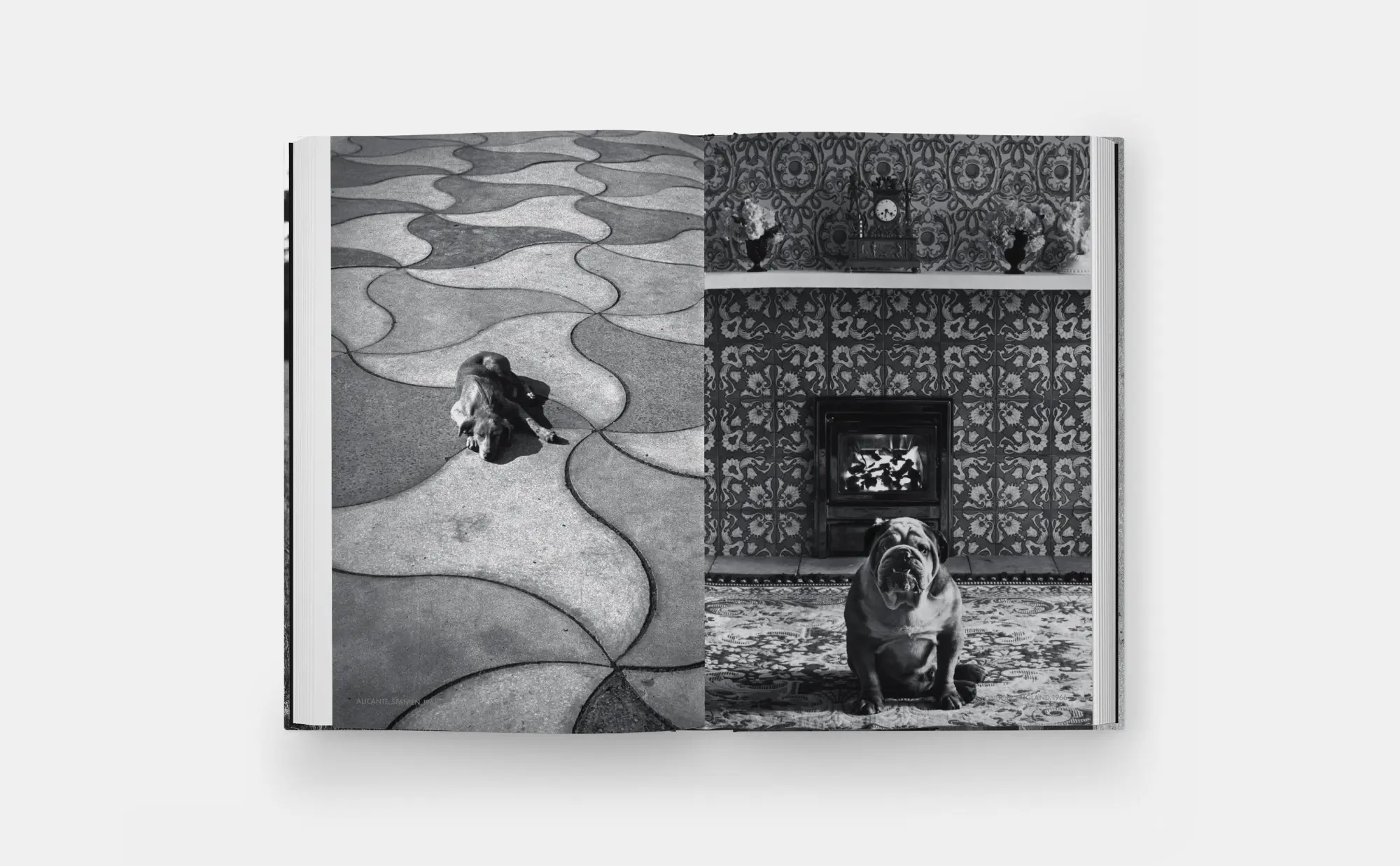 Bild: 9781838669737 | Hunde lieben | Buch | 512 S. | Deutsch | 2025 | Phaidon Verlag GmbH