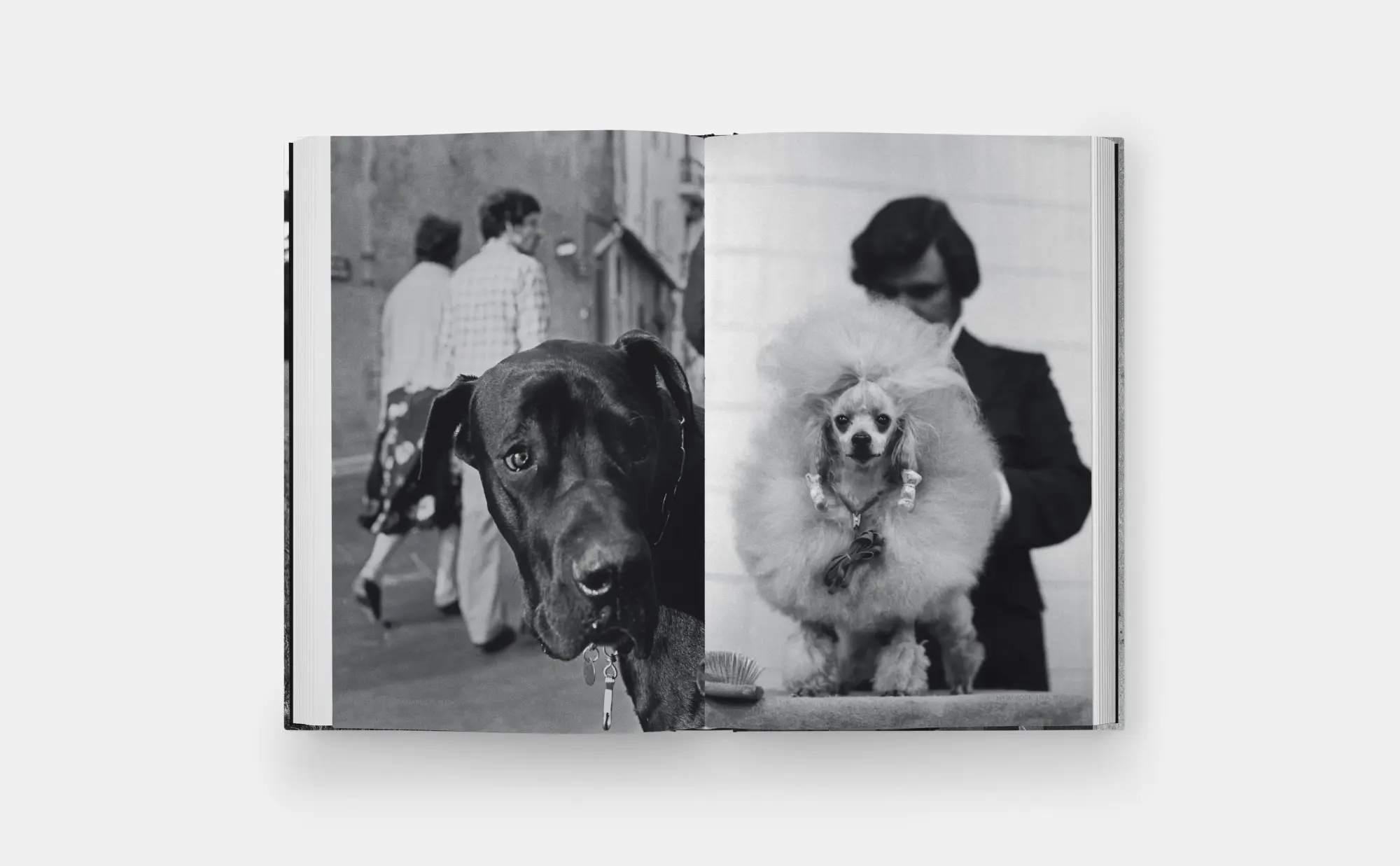 Bild: 9781838669737 | Hunde lieben | Buch | 512 S. | Deutsch | 2025 | Phaidon Verlag GmbH
