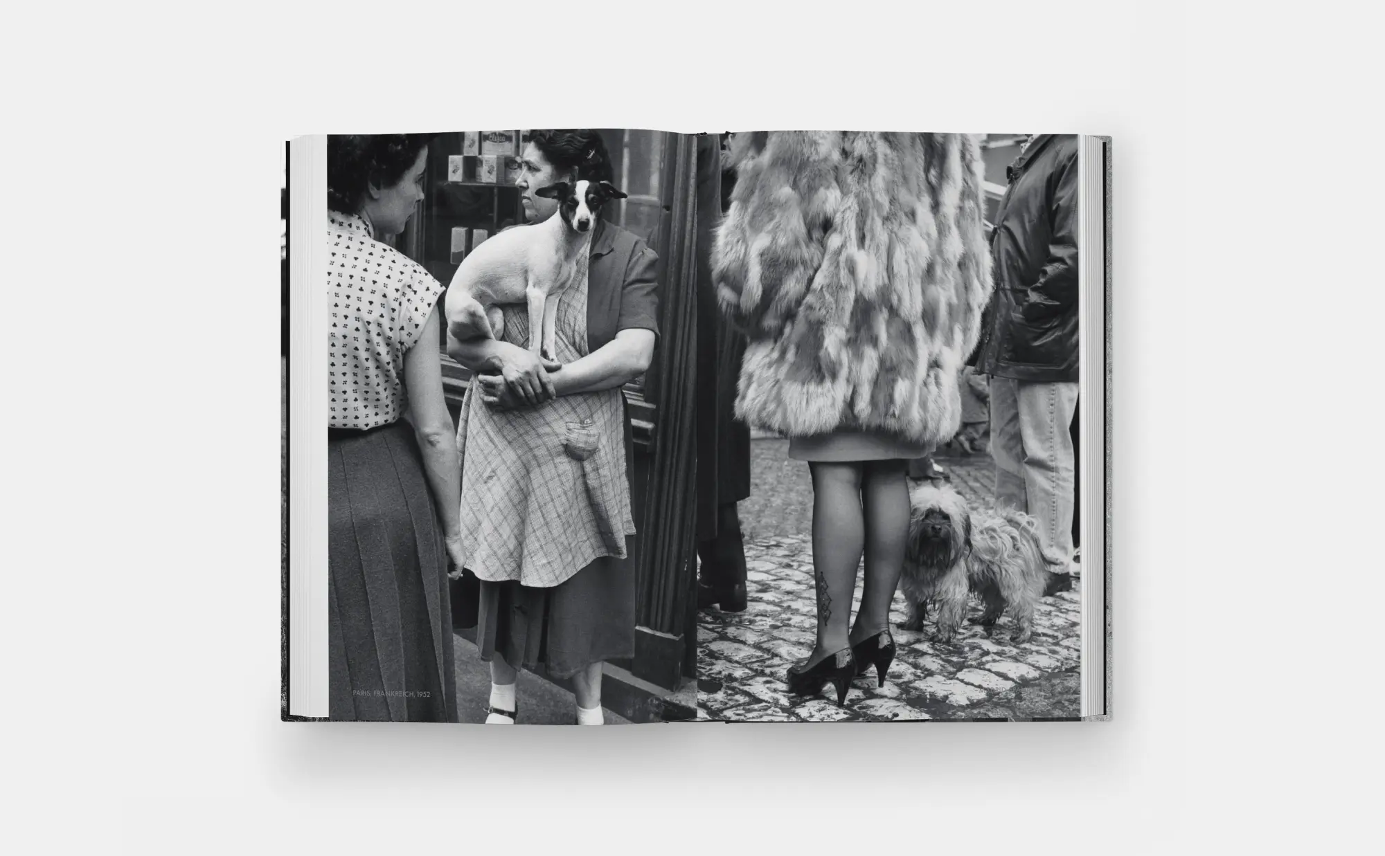 Bild: 9781838669737 | Hunde lieben | Buch | 512 S. | Deutsch | 2025 | Phaidon Verlag GmbH