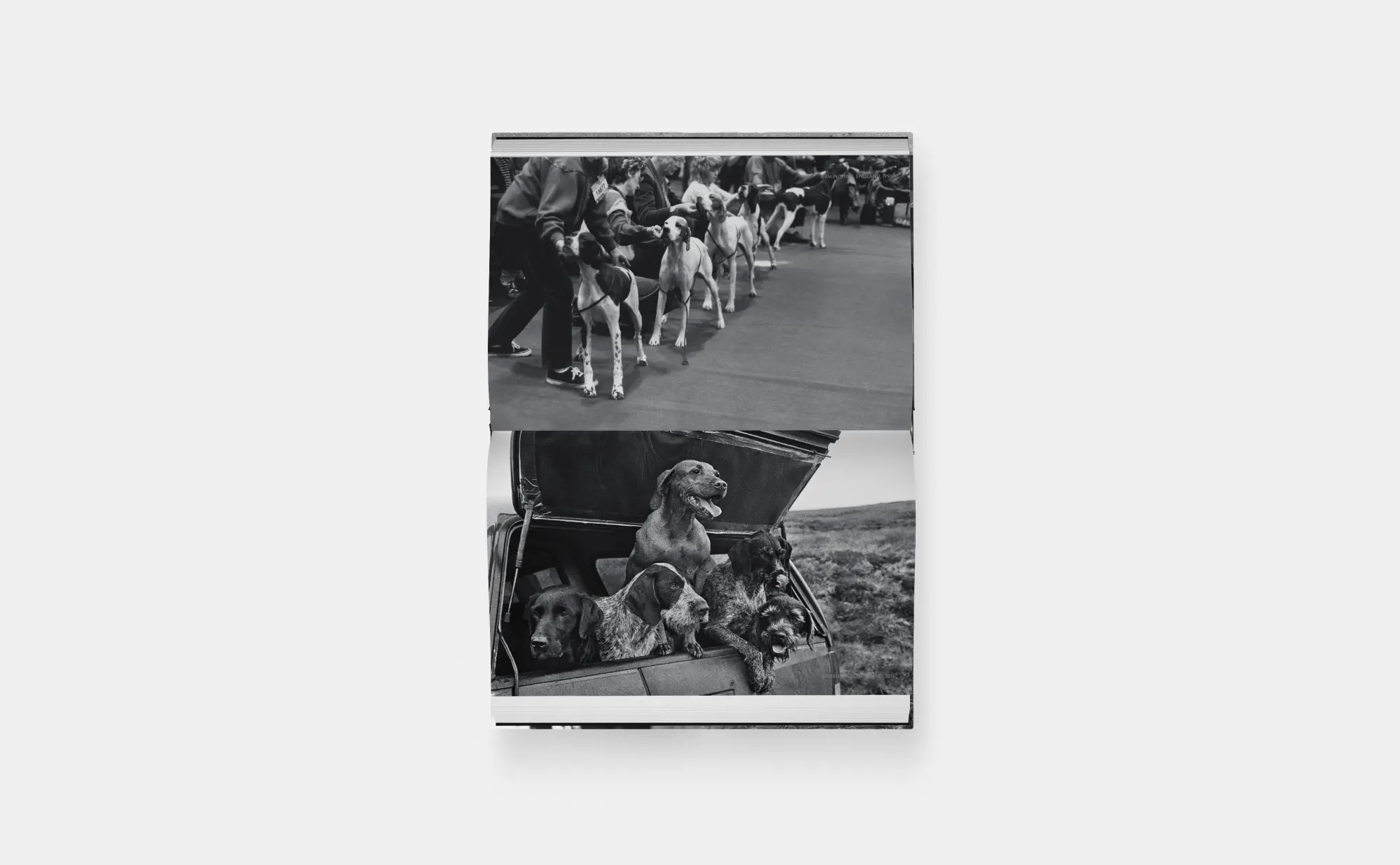 Bild: 9781838669737 | Hunde lieben | Buch | 512 S. | Deutsch | 2025 | Phaidon Verlag GmbH