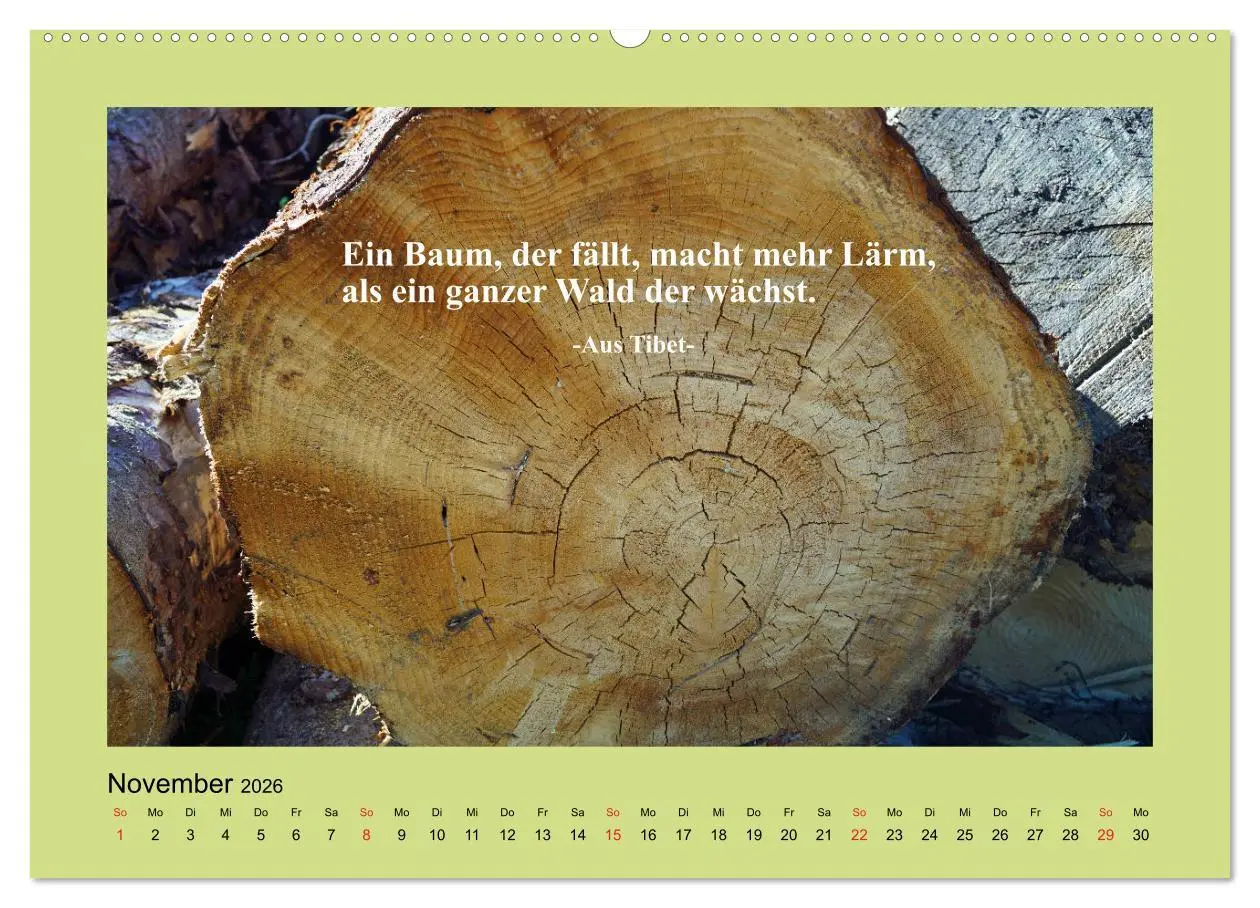 Bild: 9783457699737 | Lebensweisheiten mit Bildern unterlegt (hochwertiger Premium...