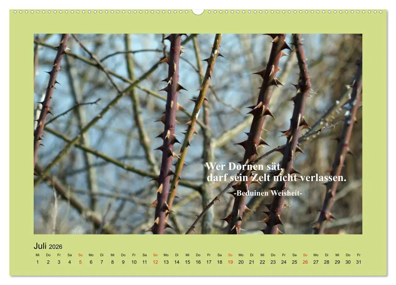 Bild: 9783457699737 | Lebensweisheiten mit Bildern unterlegt (hochwertiger Premium...