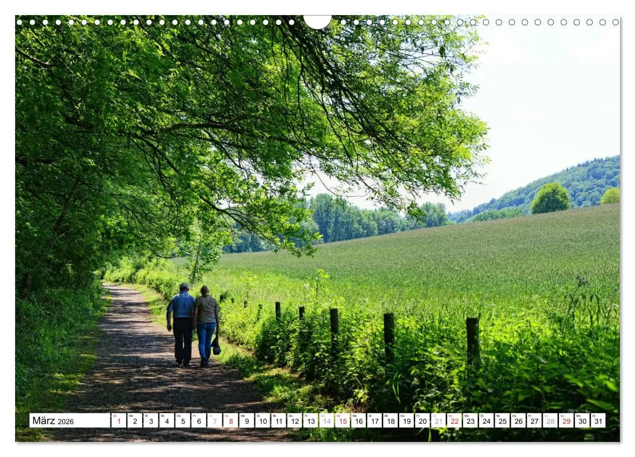 Bild: 9783457909737 | Naturlandschaft Laacher See (Wandkalender 2026 DIN A3 quer),...