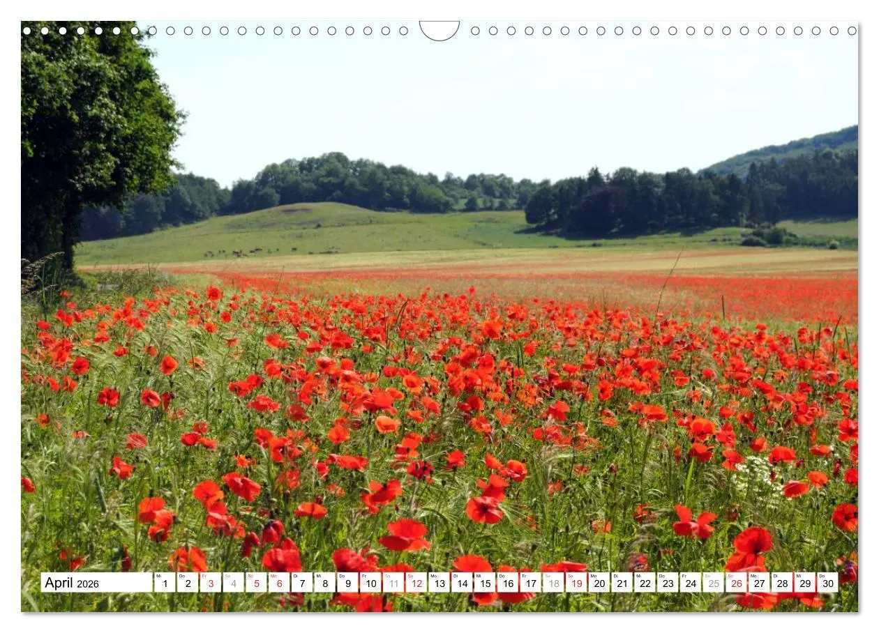 Bild: 9783457909737 | Naturlandschaft Laacher See (Wandkalender 2026 DIN A3 quer),...