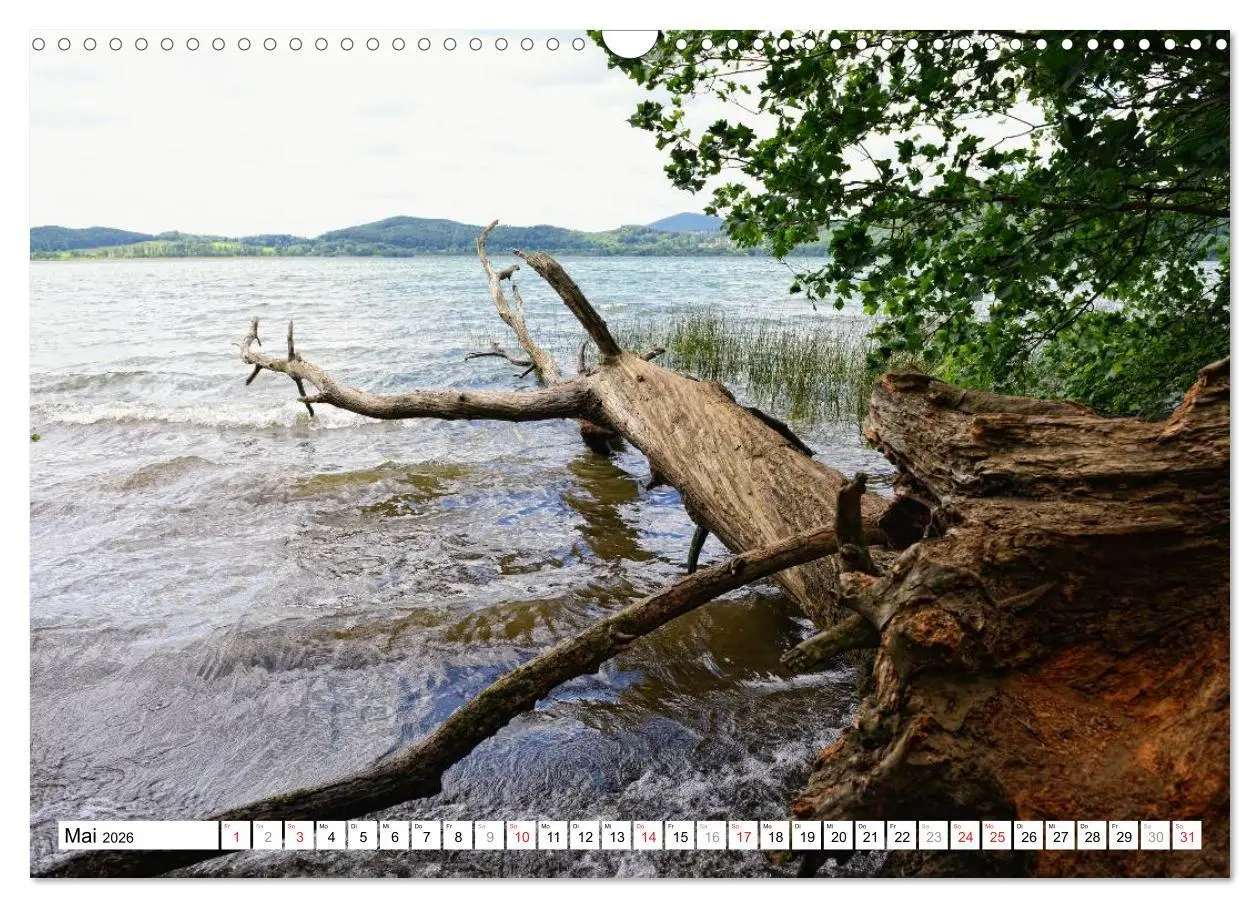 Bild: 9783457909737 | Naturlandschaft Laacher See (Wandkalender 2026 DIN A3 quer),...