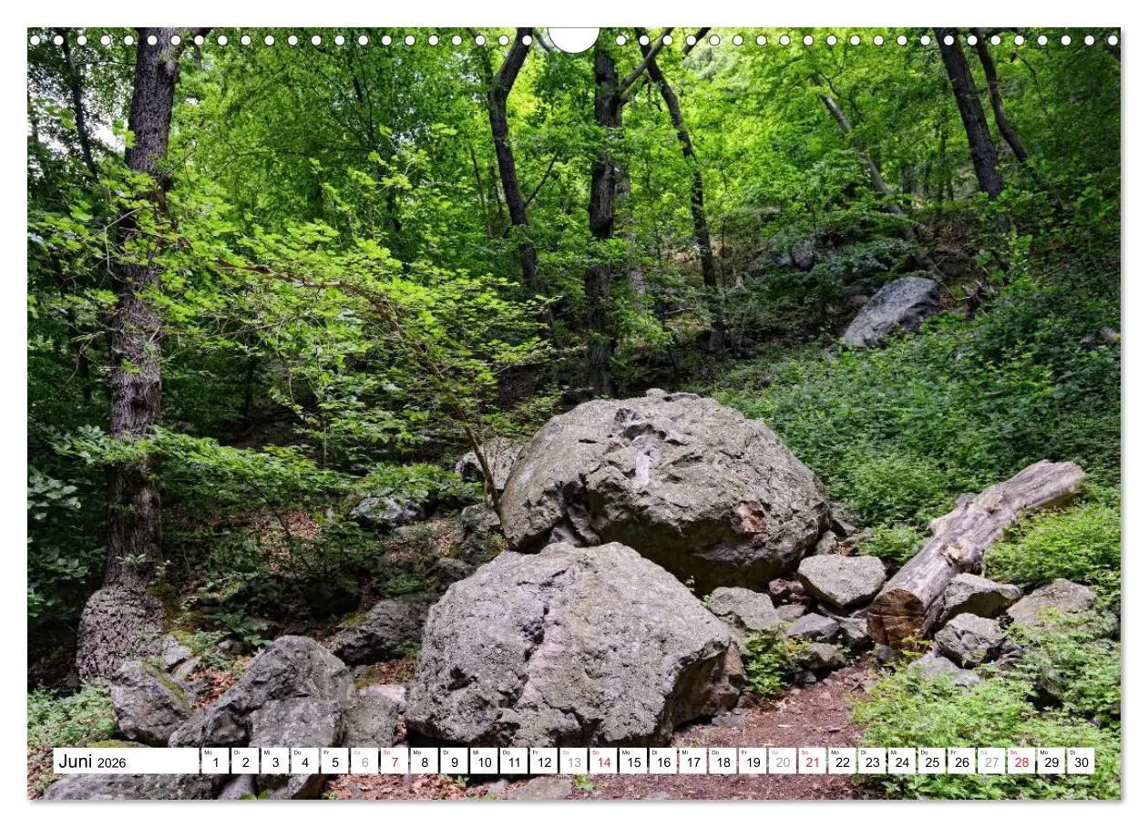 Bild: 9783457909737 | Naturlandschaft Laacher See (Wandkalender 2026 DIN A3 quer),...