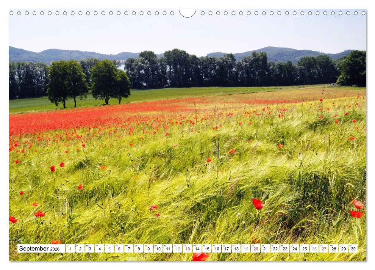 Bild: 9783457909737 | Naturlandschaft Laacher See (Wandkalender 2026 DIN A3 quer),...