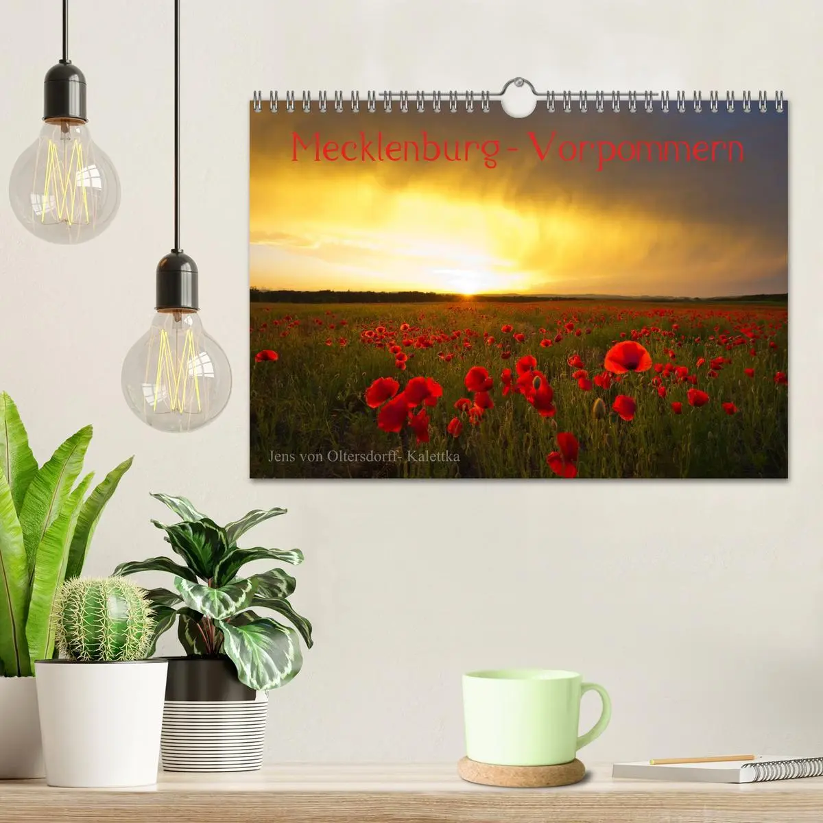 Bild: 9783516099737 | Mecklenburg - Vorpommern (Wandkalender 2026 DIN A4 quer), CALVENDO...