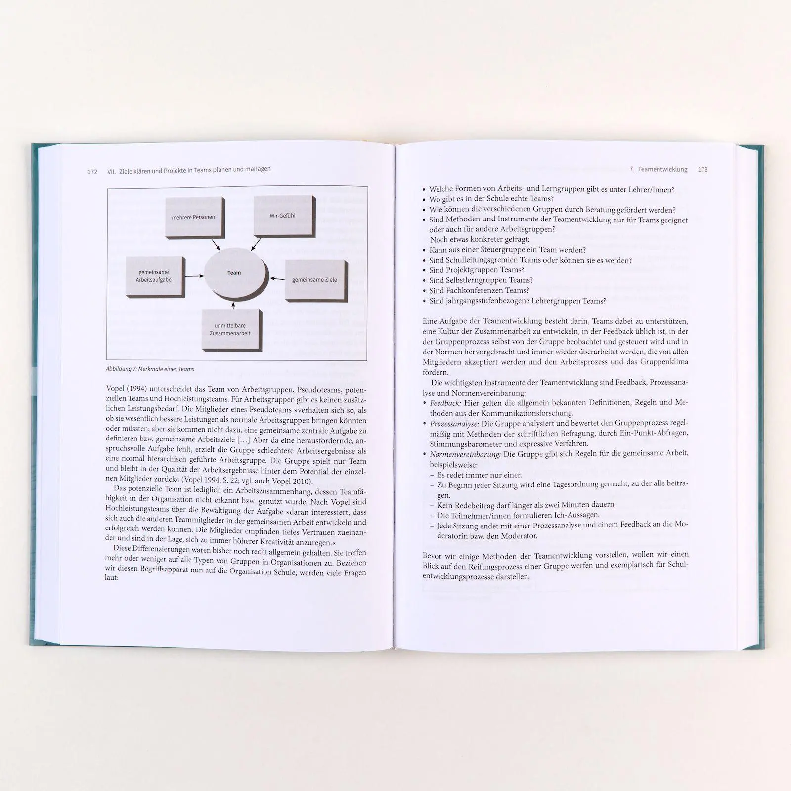 Bild: 9783407259837 | Handbuch Schulentwicklung: Beratung und Begleitung | Mit E-Book inside