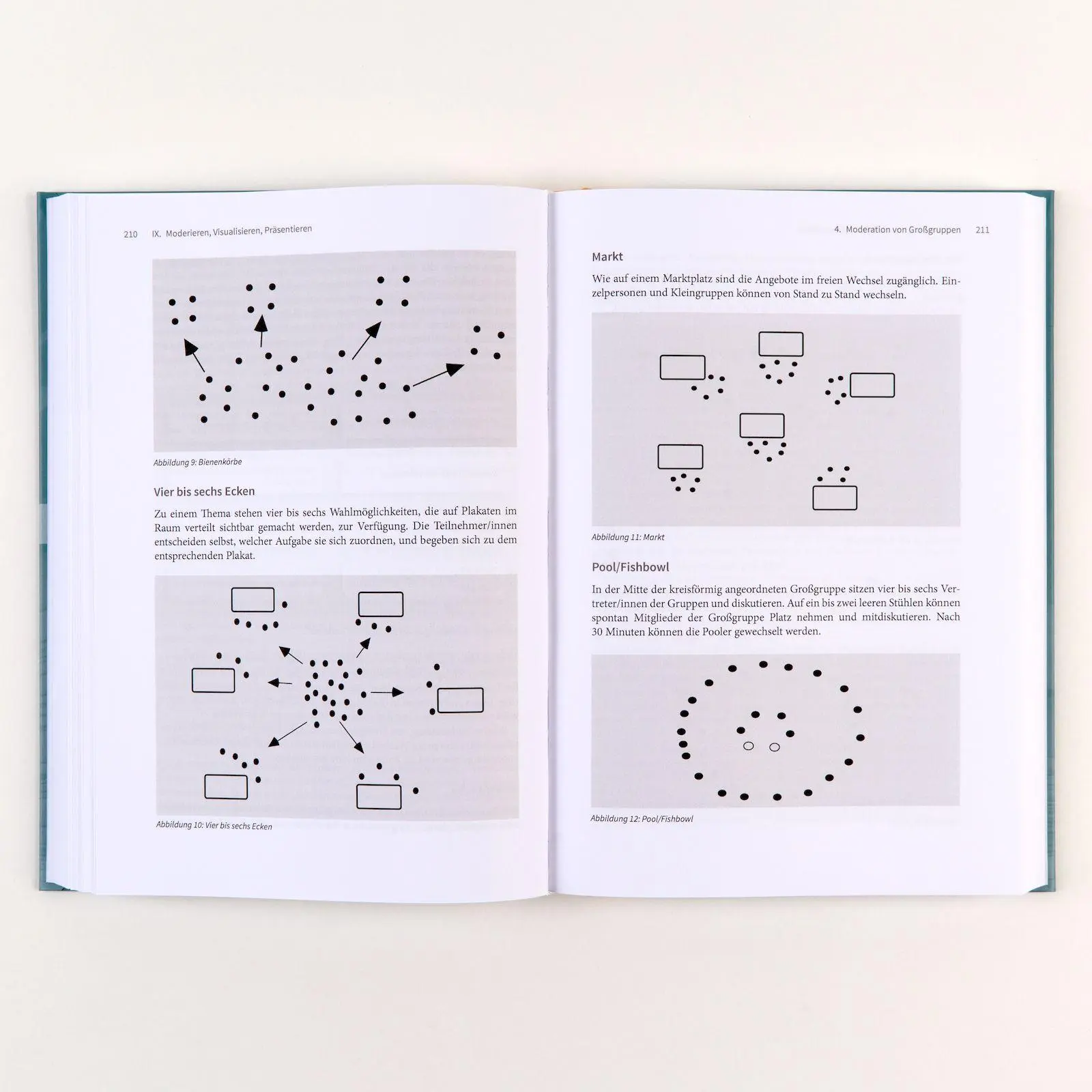 Bild: 9783407259837 | Handbuch Schulentwicklung: Beratung und Begleitung | Mit E-Book inside