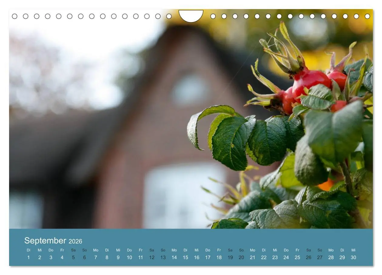 Bild: 9783516159837 | Föhr 2026. Porträt einer Insel (Wandkalender 2026 DIN A4 quer),...